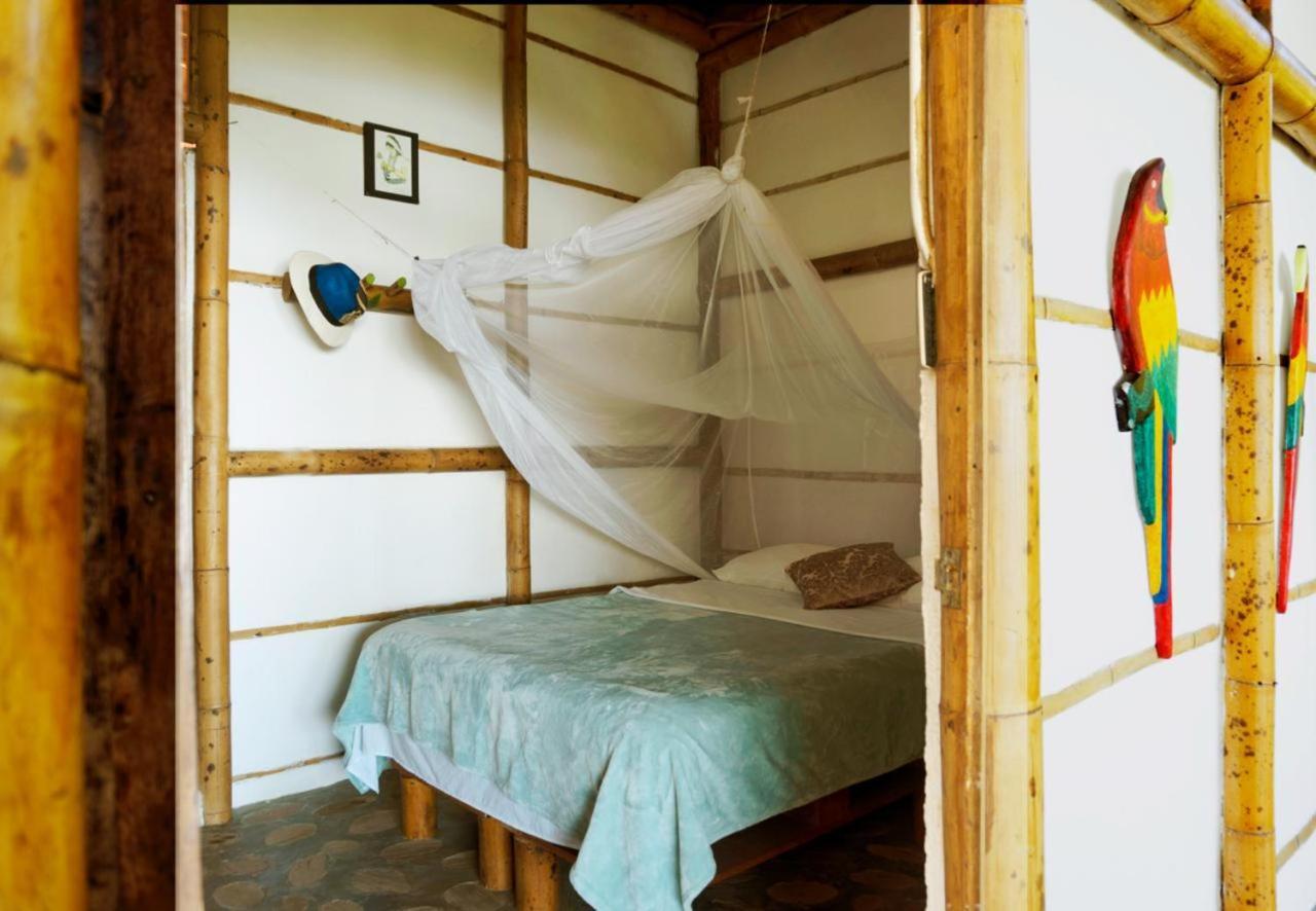 Villa El Eden Minca Extérieur photo