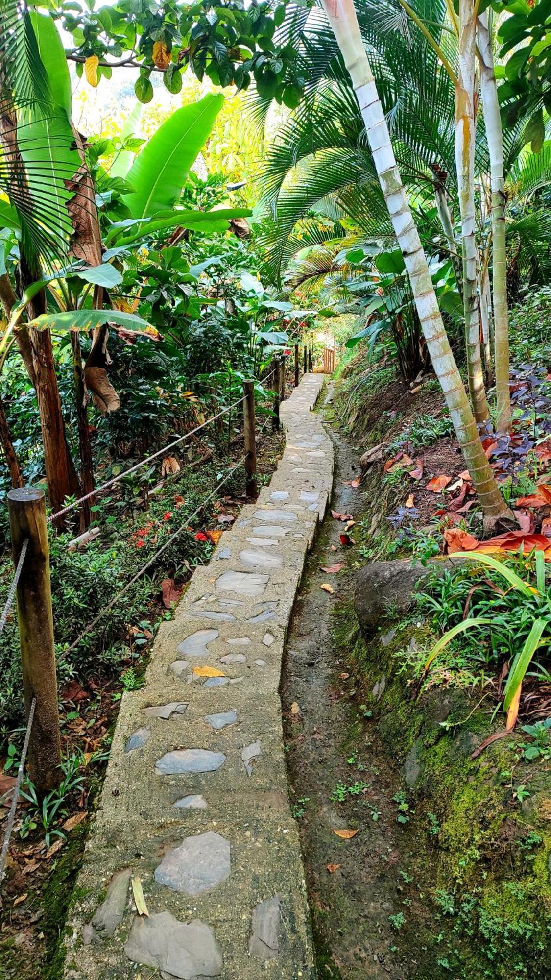 Villa El Eden Minca Extérieur photo